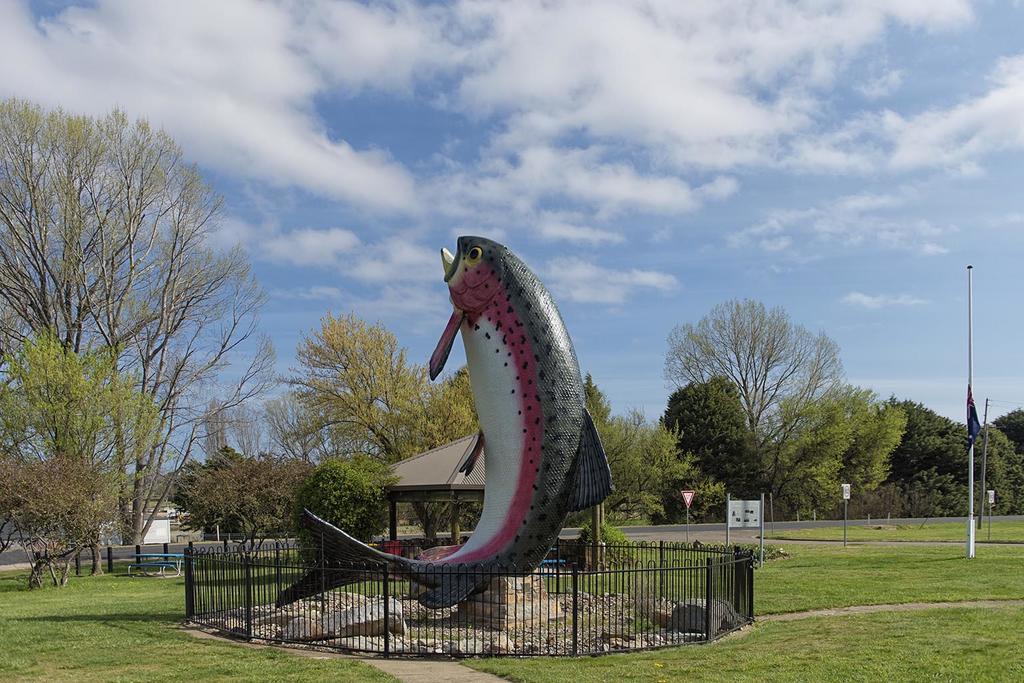 Rainbow Pines Tourist Caravan Park Adaminaby Extérieur photo