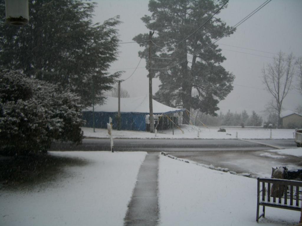 Rainbow Pines Tourist Caravan Park Adaminaby Extérieur photo